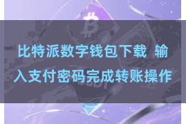 比特派数字钱包下载  输入支付密码完成转账操作